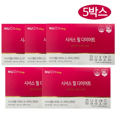 뉴온 시서스 필 다이어트 850mg x 28정 x 5박스 JJ몰, 5개