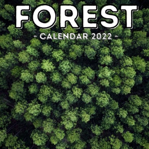 (영문도서) Forest Calendar 2022: 16-Month Calendar Cute Gift Idea For Forest Lovers Women & Men Paperback, Independently Published, English, 9798529368831