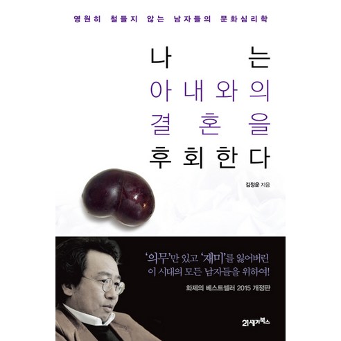 나는 아내와의 결혼을 후회한다:영원히 철들지 않는 남자들의 문화심리학, 21세기북스, 김정운 저