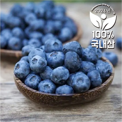 컴팜국내산 햇 생 블루베리 100g*10팩 1kg, 100g, 10개