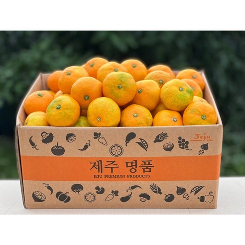 제주 서귀포 농장에서 당도 선별한 100% 순수 감귤, 하우스감귤, 3kg, 1개, 강력 추천 제주 서귀포 농장에서 당도 선별한 100% 순수 감귤, 하우스감귤, 3kg, 1개, 강력 추천