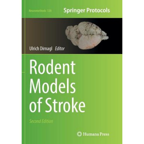 (영문도서) Rodent Models of Stroke Paperback, Humana, English, 9781493981670