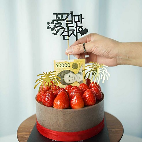 [차렌시아] 돈 나오는 케이크 돈 뽑는 용돈 박스 반전 케이크 돈티슈 만들기 DIY세트, 9. 케이스(대형)+토퍼(꽃길만걷자), 1세트