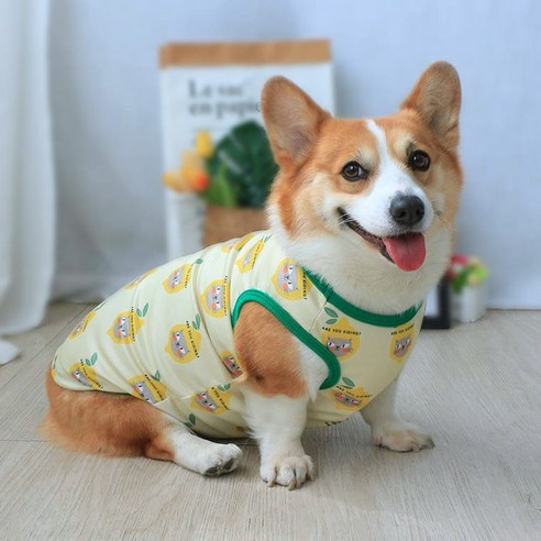 강아지나시티 티셔츠 잠옷 실내복 외출복 민소매 중대형견 간절기, 노랑