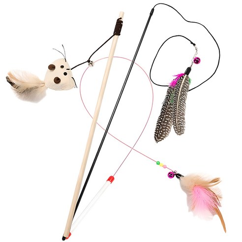 집사님, 고양이 에너지 발산! 딩동펫 낚시대로 행복 충전 어떠세요? 고양이장난감