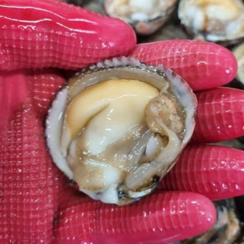 여수 새조개: 고소한 맛과 영양가를 즐기는 샤브샤브 원물