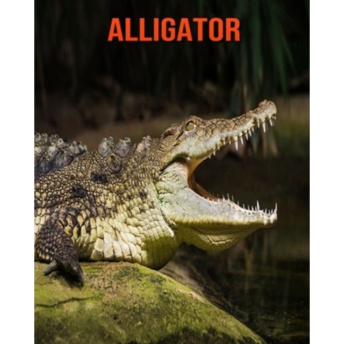Alligator: Learn About Alligator and Enjoy Colorful Pictures Paperback, Independently Published, English, 9798557659734