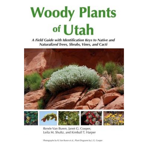 (영문도서) Woody Plants of Utah: A Field Guide with Identification Keys to Native and Naturalized Trees ... Paperback, Utah State University Press, English, 9780874218244