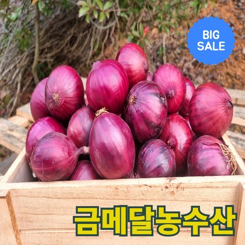 금메달농수산 산지직송 25년 무안 자색 햇양파, 1개, 3kg (장아찌용 소)