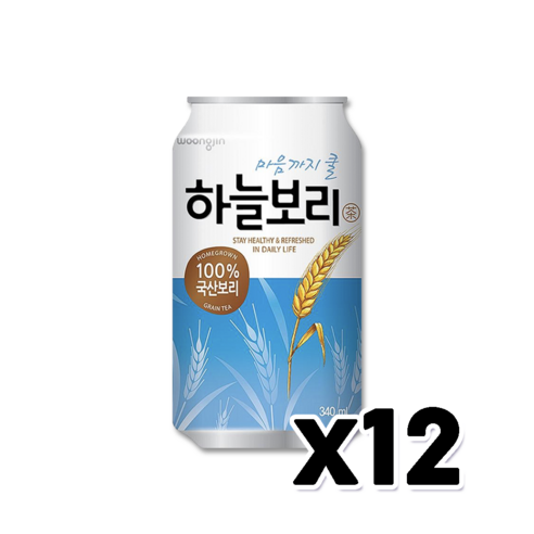 웅진 하늘보리 갈증해소 캔음료 340ml x 24개