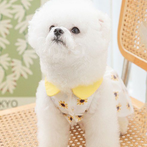 겨울을 더욱 아늑하게 해줄 아이템
