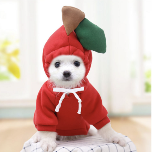 애견생활 소형견 후드티, 사과, 1개