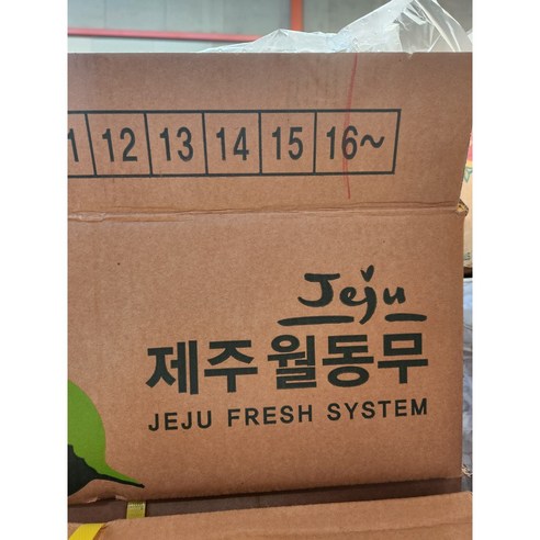 최상의 겨울맛을 선사하는 국내산 월동무