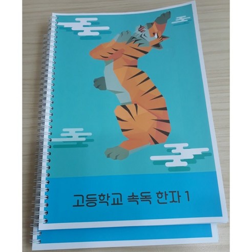 고등학교 속독 한자 1 모야랜드 - 한자/고사성어 | 쿠팡