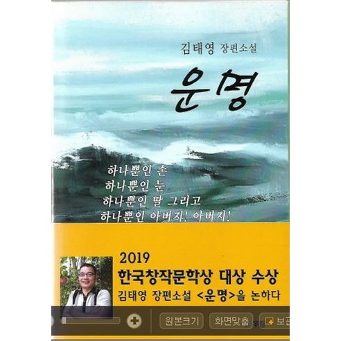 운명:김태영 장편소설, 우림