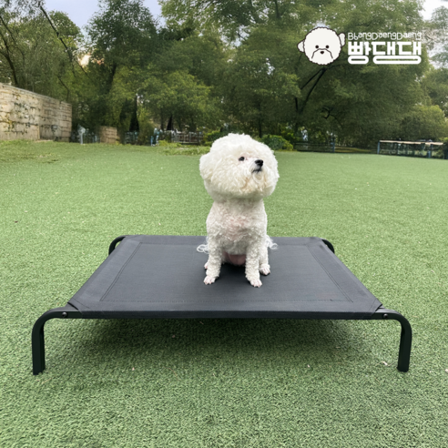 시원하고 쾌적한 댕댕이 여름나기, 빵댕댕 애견 해먹 침대로!