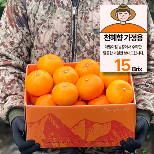 15brix 당도선별 제주 천혜향 가정용, 1박스, 3kg(15과내외)