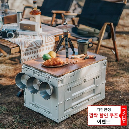 아이위크 캠핑 60L 5도어 수납박스 야외 캠핑 대용량 플라스틱 접이식, 그레이, 1개