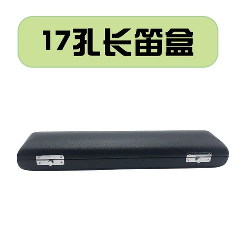 당신의 플루트를 위한 완벽한 갑옷, 알티에리 하드 케이스 알티에리가방