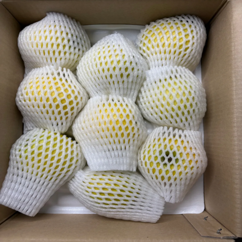 햇살 가득, 맛과 신선함이 가득한 경북 꼬마 사과, 지금 바로 만나보세요!