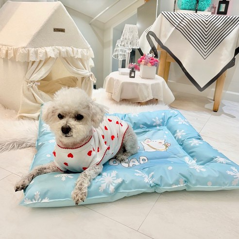 펫포에버 쿨방석: 여름철 반려견의 시원함과 편안함을 위한 선택