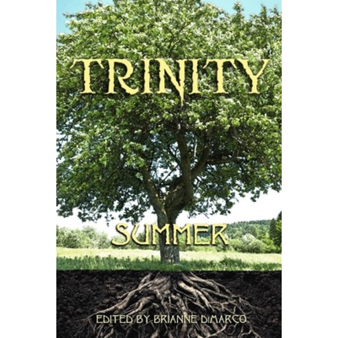 (영문도서) Trinity: Summer Paperback, Independently Published, English, 9798718759754