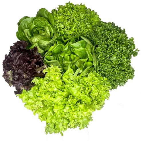 야채이야기 유러피안 샐러드: 영양소가 풍부하고 편리한 건강한 선택