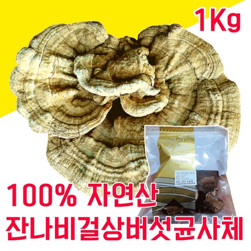 100% 국내 자연산 잔나비 걸상버섯 균사체 불로초 덕다리 500g 인생의 연장전 혈당 조절, 3개 호랑나비알