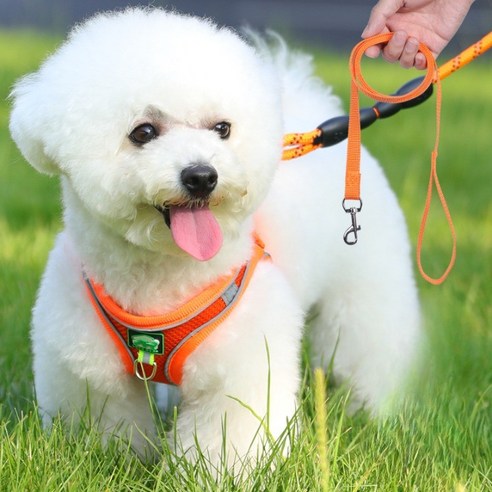 디아쿠아 강아지 고양이 겸용 바디 플러스 하네스+리드줄, 오렌지