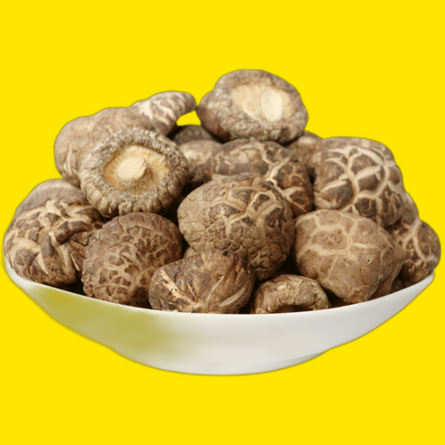 굿앤블루 건 통표고버섯 동고, 1개, 1kg