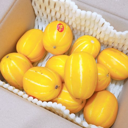 성주 꿀 참외: 달콤하고 영양가 높은 여름의 맛