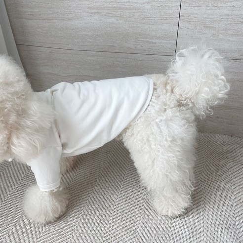 伴侶  寵物產品  小狗  貓  組合使用  服裝  T卹  狗  狗  狗
