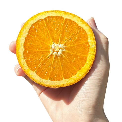 썬키스트 고당도 오렌지 블랙라벨 중과 대과, 1박스, 5kg (대과 20개)