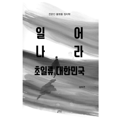 일어나라 초일류 대한민국:전문인 플랫폼 정치학, 글마당, 김태연