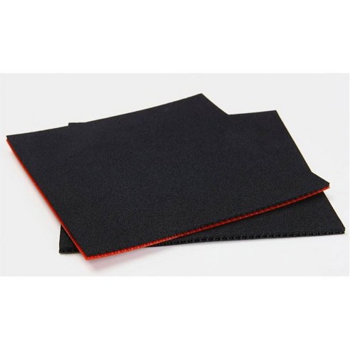 엑시옴 베가 아시아: 코트 위를 지배하는 궁극의 스핀 파워