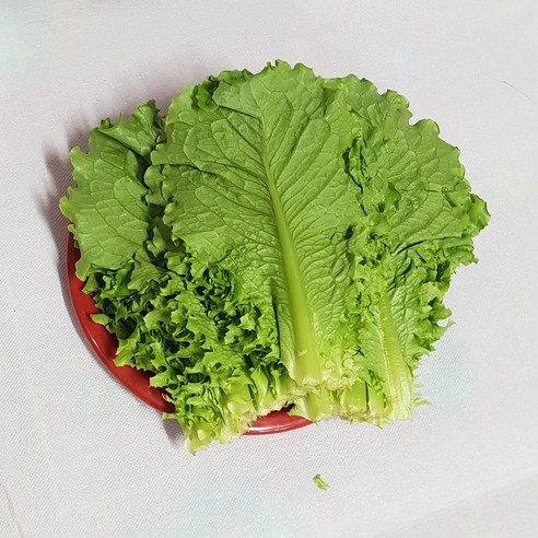 국내산 청상추4kg 2kg 적상추4kg 2kg 포찹 4kg 2kg 백산상회, 1개, 청상추