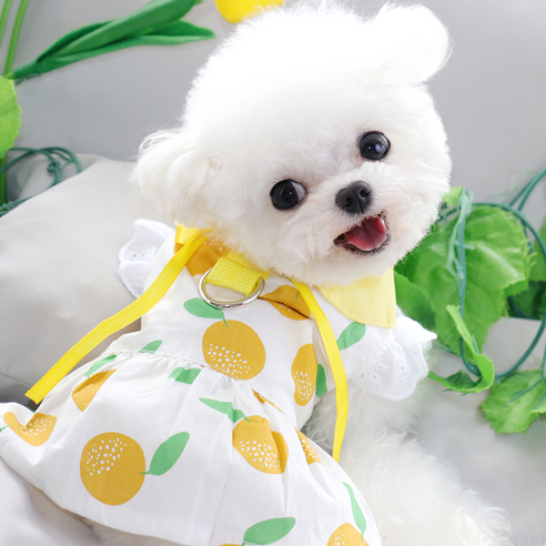 [모모상점] 여름 얇은 공주 스커트 강아지옷 개옷 반려용품