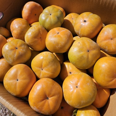 감 단감 전남단감 구례단감 못난이단감 기스단감 흠집단감 비품 가정용 2.5KG 5KG 10KG, 단감 중 2.5KG, 1박스 ...