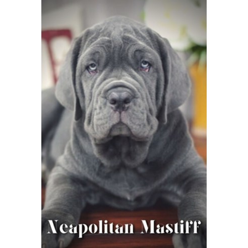 (영문도서) Neapolitan Mastiff: Dog breed overview and guide Paperback, Independently Published, English, 9798851501074