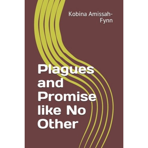 Plagues and Promise like No Other Paperback, Independently Published
