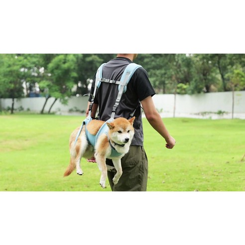 사랑하는 반려동물과의 행복한 외출, 요우니 강아지 앞가방 슬링백과 함께