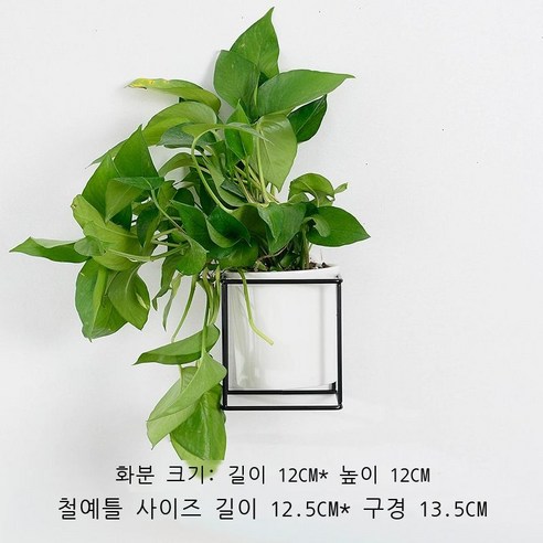 창의적 대리석 무늬 도자기 벽걸이 화분 탁자 베란다 심플하다 파인애플 다육식물 말뚝 분재 화기, 흑가 백자