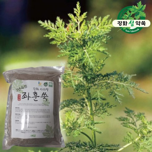 3년숙성 좌훈쑥 600g 유기농 강화약쑥 좌훈용쑥 쑥좌훈 좌욕쑥 쑥좌욕 좌훈