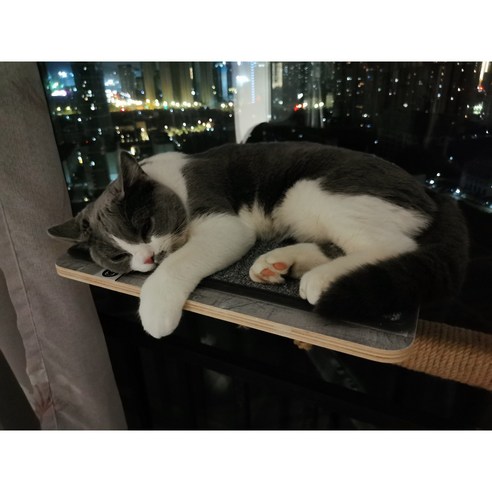 헤라우스점핑 고양이 일광욕 창문 캣타워