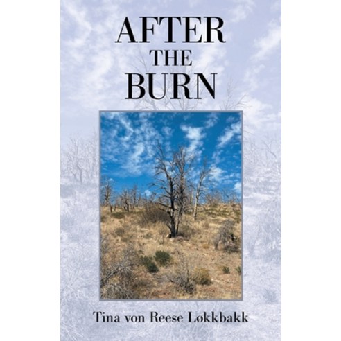 (영문도서) After the Burn Paperback, Balboa Press, English, 9781982278403