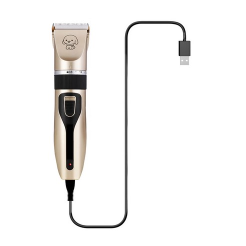 반려동물 미용의 새로운 기준