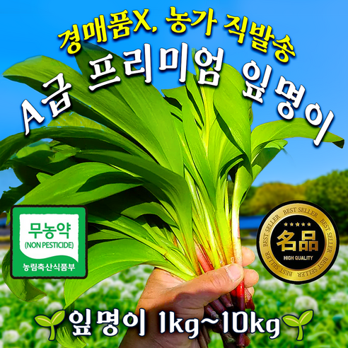 [최저가이벤트곧종료!!]아삭달큰 무농약 명이나물 울릉도 잎명이