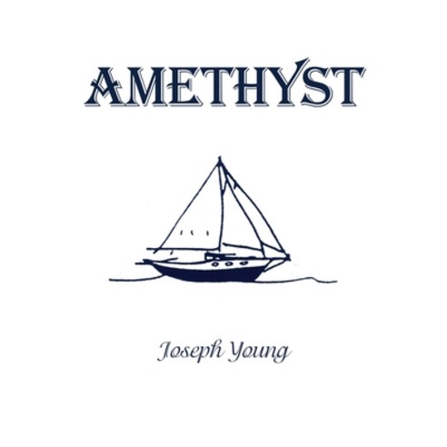 (영문도서) Amethyst Hardcover, Dorrance Publishing Co., English, 9781637642368