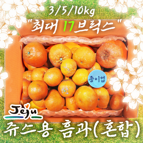 [최저가이벤트곧종료!!]최고품위 못난이 고당도 제주 카라향 (천혜향대체)