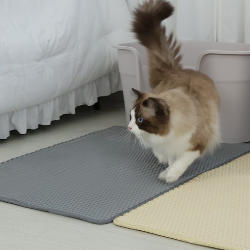 청결과 편리함을 동시에 잡은 고양이 화장실 모래매트